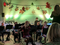 /album/herfsconcert-15-november-in-de-gymzaal-in-hoofdplaat/190a92b6-213e-4888-95d4-e5615ecacf57-jpeg/